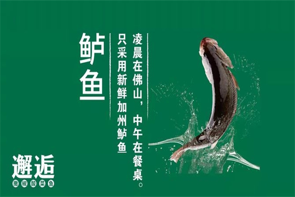 邂逅撒椒酸菜鱼加盟