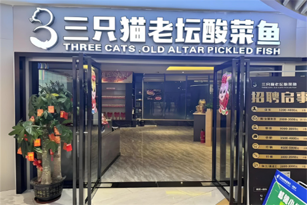 三只猫酸菜鱼加盟