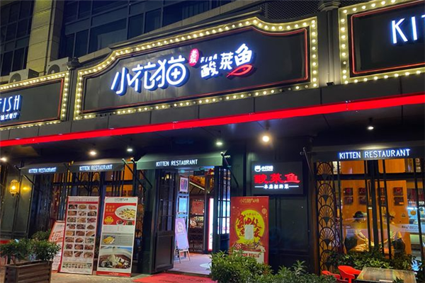 小花猫老坛酸菜鱼加盟