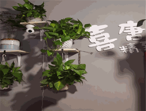 喜唐水饺加盟