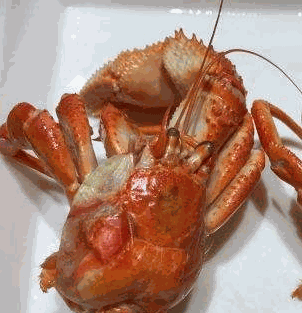 海味当家加盟