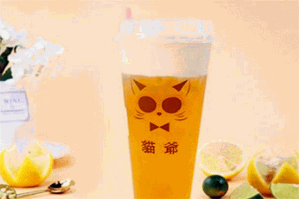 猫爷奶茶加盟