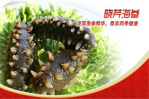 晓芹海参加盟