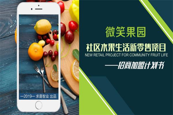 生鲜电商加盟