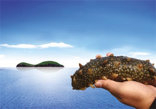 御真堂海参加盟