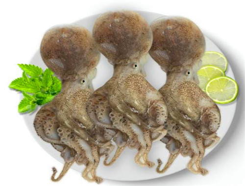 渝南火锅食材超市加盟