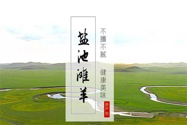 盐池滩羊汤加盟