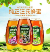 汪氏蜂蜜加盟