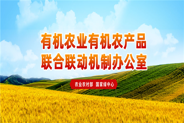 中绿华夏食品加盟