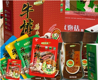奥达特加盟