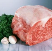雨润冷鲜肉加盟