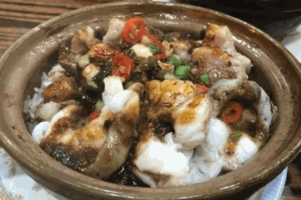 天天见煲仔饭加盟