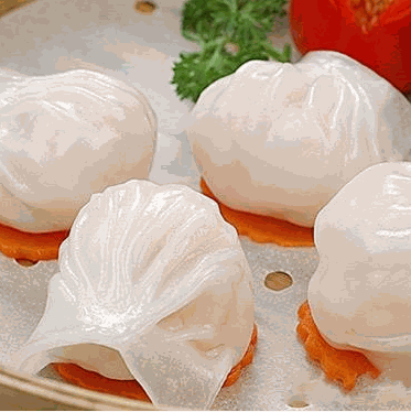 洁霞饺子加盟