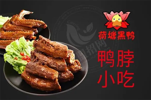 荷塘黑鸭加盟