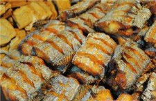 九多肉多加盟