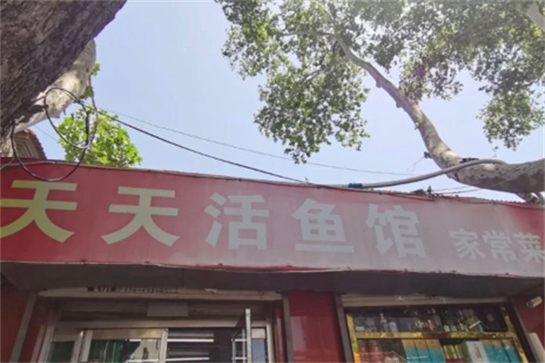 天天活鱼馆加盟