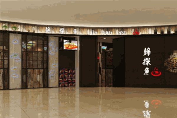 锦探鱼加盟