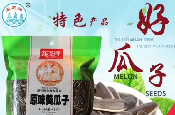 东芝洋瓜子加盟