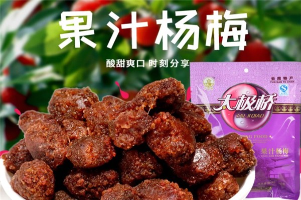 太极桥果脯加盟