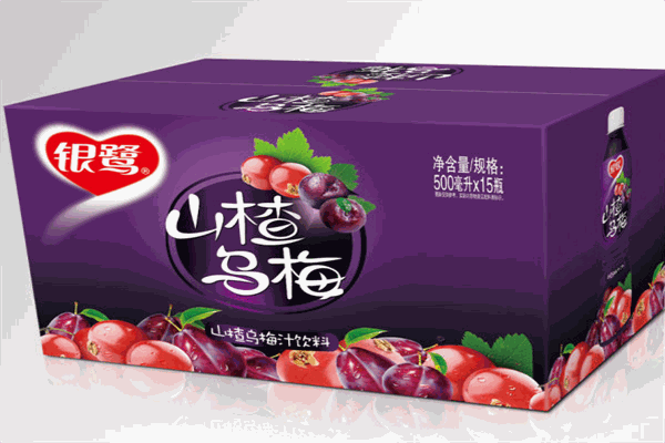 银鹭食品加盟