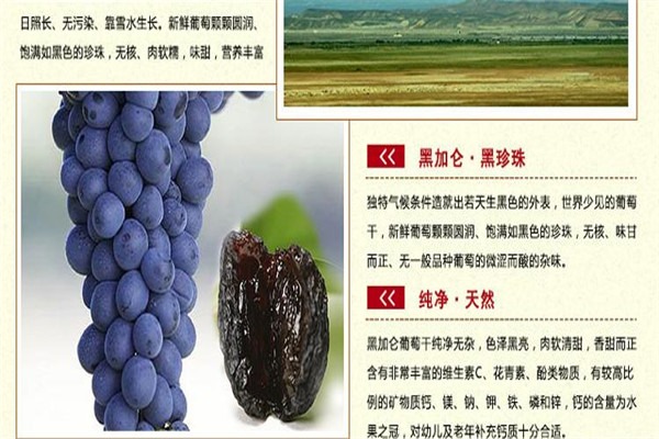 天山果园加盟