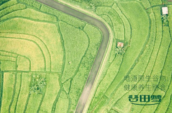谷田梦加盟