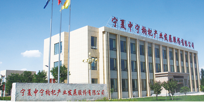 红畔中宁枸杞加盟