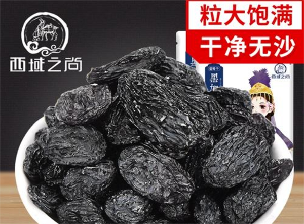 西域之尚加盟