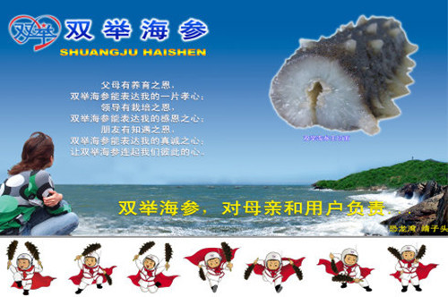 双举海参加盟