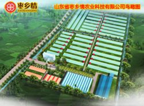 爱乌及乌枣加盟