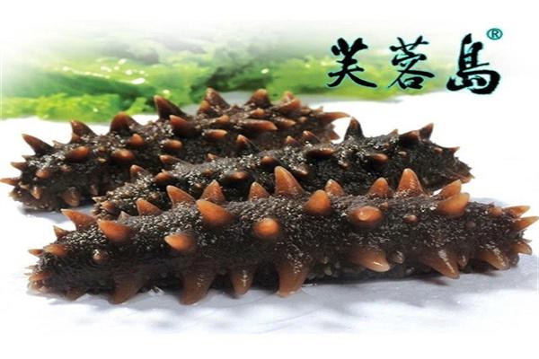 芙蓉岛海参加盟