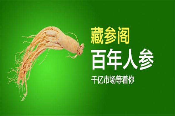 藏参阁人参加盟